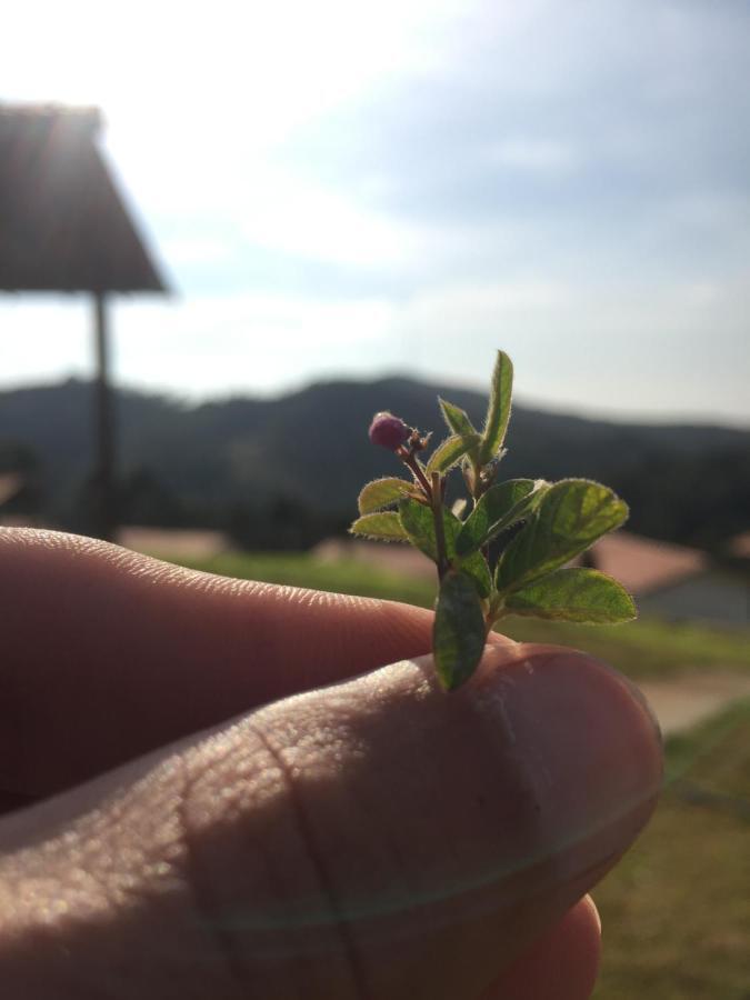 Pousada Chalés Alternativa Conceição do Ibitipoca Exterior foto